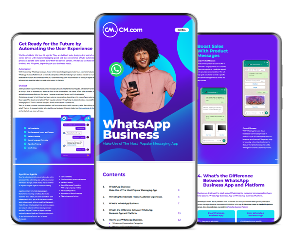 whatsapp-business-guide-hero-new